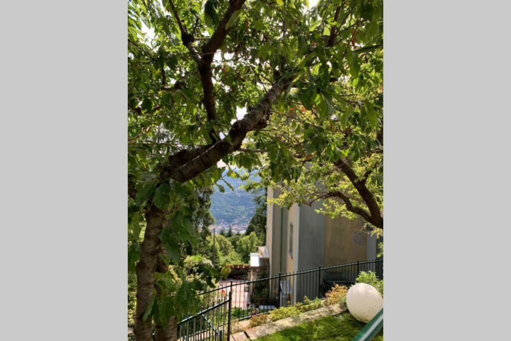 Apartmán The Cherry Garden House Loft Lusso Brunate Exteriér fotografie